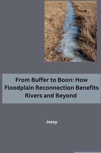 From Buffer to Boon: How Floodplain Reconnection Benefits Rivers and Beyond