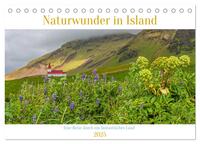 Naturwunder in Island (Tischkalender 2025 DIN A5 quer), CALVENDO Monatskalender