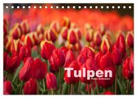 Tulpen (Tischkalender 2025 DIN A5 quer), CALVENDO Monatskalender