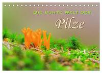 Die bunte Welt der Pilze (Tischkalender 2025 DIN A5 quer), CALVENDO Monatskalender