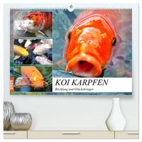 Koi Karpfen. Blickfang und Glücksbringer (hochwertiger Premium Wandkalender 2025 DIN A2 quer), Kunstdruck in Hochglanz