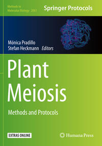 Plant Meiosis