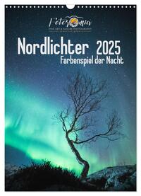 Nordlichter – Farbenspiel der Nacht (Wandkalender 2025 DIN A3 hoch), CALVENDO Monatskalender