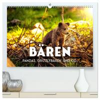 Bären - Pandas, Grizzlybären und Co. (hochwertiger Premium Wandkalender 2025 DIN A2 quer), Kunstdruck in Hochglanz