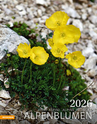 Alpenblumen Kalender 2026