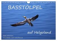 Basstölpel auf Helgoland (Wandkalender 2025 DIN A4 quer), CALVENDO Monatskalender