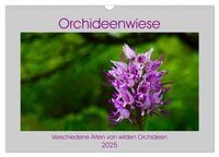 Orchideenwiese 2025 (Wandkalender 2025 DIN A3 quer), CALVENDO Monatskalender