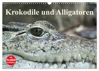 Krokodile und Alligatoren (Wandkalender 2025 DIN A3 quer), CALVENDO Monatskalender