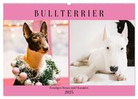 Bullterrier. Freudiges Wesen und Charakter (Wandkalender 2025 DIN A2 quer), CALVENDO Monatskalender