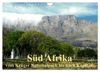 Süd Afrika - vom Krüger Nationalpark bis nach Kapstadt (Wandkalender 2025 DIN A4 quer), CALVENDO Monatskalender