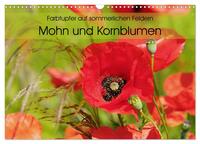 Farbtupfer auf sommerlichen Feldern - Mohn und Kornblumen (Wandkalender 2025 DIN A3 quer), CALVENDO Monatskalender