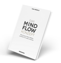 Das MindFlow Konzept