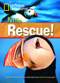 Puffin Rescue