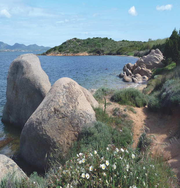 Mit dem Wohnmobil nach Sardinien