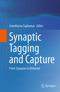 Synaptic Tagging and Capture