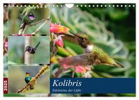 Kolibris - Edelsteine der Lüfte (Wandkalender 2025 DIN A4 quer), CALVENDO Monatskalender