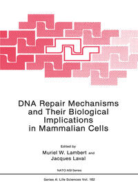 DNA Repair Mechanisms and Their Biological Implications in Mammalian Cells