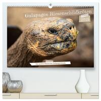 Die Riesenschildkröten der Galapagos Inseln (hochwertiger Premium Wandkalender 2025 DIN A2 quer), Kunstdruck in Hochglanz