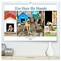 Ein Herz für Hunde - Wachhunde in Russland (hochwertiger Premium Wandkalender 2025 DIN A2 quer), Kunstdruck in Hochglanz