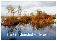 Im Goldenstedter Moor (Wandkalender 2025 DIN A2 quer), CALVENDO Monatskalender