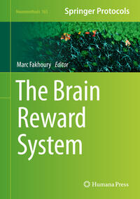 The Brain Reward System