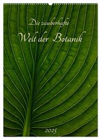 Die zauberhafte Welt der Botanik (Wandkalender 2025 DIN A2 hoch), CALVENDO Monatskalender