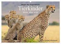 Magie des Augenblicks - Tierkinder - klein, aber wild (Wandkalender 2025 DIN A2 quer), CALVENDO Monatskalender