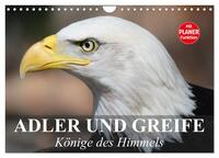 Adler und Greife. Könige des Himmels (Wandkalender 2025 DIN A4 quer), CALVENDO Monatskalender