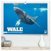 Wale: Giganten der Meere (hochwertiger Premium Wandkalender 2025 DIN A2 quer), Kunstdruck in Hochglanz