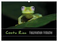 Costa Rica - Faszination Frösche (Wandkalender 2025 DIN A2 quer), CALVENDO Monatskalender