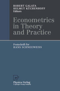 Econometrics in Theory and Practice