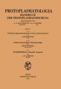 Cytoplasmastruktur in Pflanzenzellen — Intravakuoläres Protoplasma — Plasmodesmata (Vegetable Kingdom)