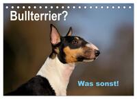 Bullterrier? Was sonst! (Tischkalender 2025 DIN A5 quer), CALVENDO Monatskalender