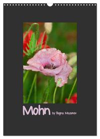 Mohn (Wandkalender 2025 DIN A3 hoch), CALVENDO Monatskalender