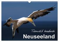 Neuseeland - Tierwelt hautnah (Wandkalender 2025 DIN A3 quer), CALVENDO Monatskalender