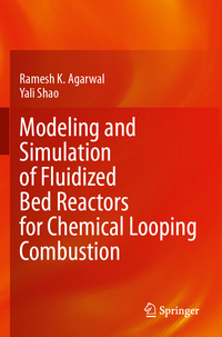 Modeling and Simulation of Fluidized Bed Reactors for Chemical Looping Combustion