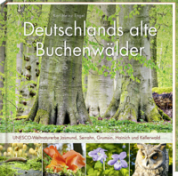 Deutschlands alte Buchenwälder