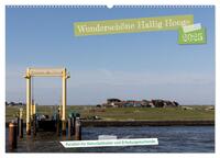 Wunderschöne Hallig Hooge (Wandkalender 2025 DIN A2 quer), CALVENDO Monatskalender