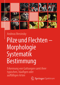 Pilze und Flechten – Morphologie, Systematik, Bestimmung