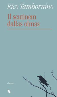 Il scutinem dallas olmas