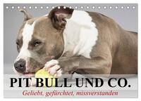 Pit Bull und Co. - Geliebt, gefürchtet, missverstanden (Tischkalender 2025 DIN A5 quer), CALVENDO Monatskalender