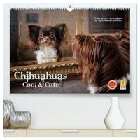 Chihuahuas - Cool and Cute (hochwertiger Premium Wandkalender 2025 DIN A2 quer), Kunstdruck in Hochglanz