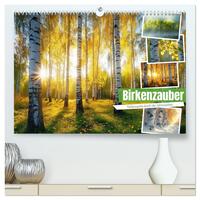 Birkenzauber (hochwertiger Premium Wandkalender 2025 DIN A2 quer), Kunstdruck in Hochglanz