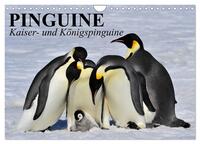 Pinguine - Kaiser- und Königspinguine (Wandkalender 2025 DIN A4 quer), CALVENDO Monatskalender