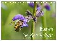 Bienen bei der Arbeit (Wandkalender 2025 DIN A4 quer), CALVENDO Monatskalender