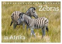 Zebras in Afrika (Tischkalender 2025 DIN A5 quer), CALVENDO Monatskalender