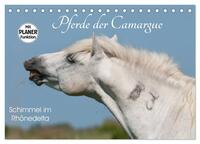 Pferde der Camargue – Schimmel im Rhônedelta (Tischkalender 2025 DIN A5 quer), CALVENDO Monatskalender