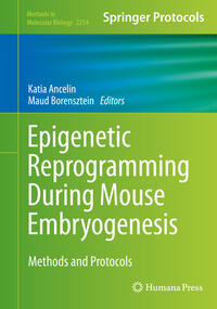 Epigenetic Reprogramming During Mouse Embryogenesis