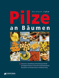 Pilze an Bäumen