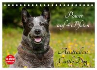 Power auf 4 Pfoten. Australian Cattle Dog (Tischkalender 2025 DIN A5 quer), CALVENDO Monatskalender